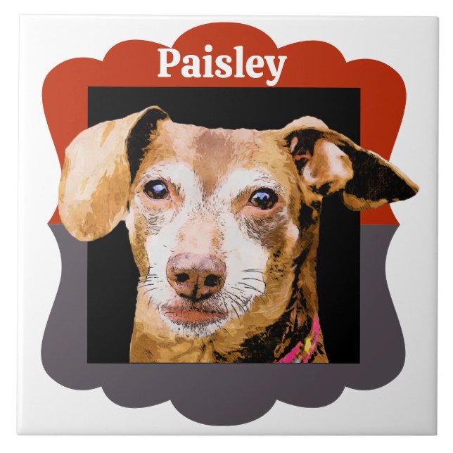Dachshund customized pattern photo frame tile (Front)