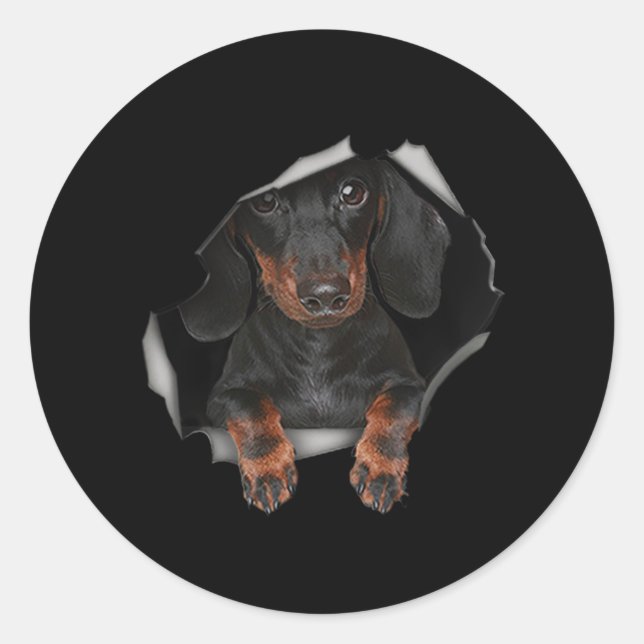 Dachshund Cute Graphic Pet Clothing Dog Lovers Classic Round Sticker (Front)