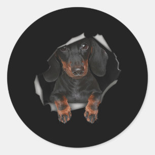 Dachshund Cute Graphic Pet Clothing Dog Lovers Classic Round Sticker