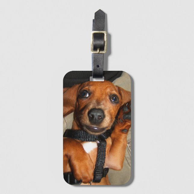 Dachshund Cute Pet Puppy Luggage Tag (Front Vertical)