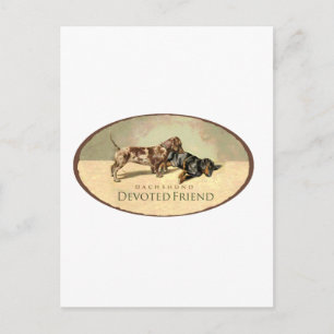 Dachshund..Devoted Friend Postcard