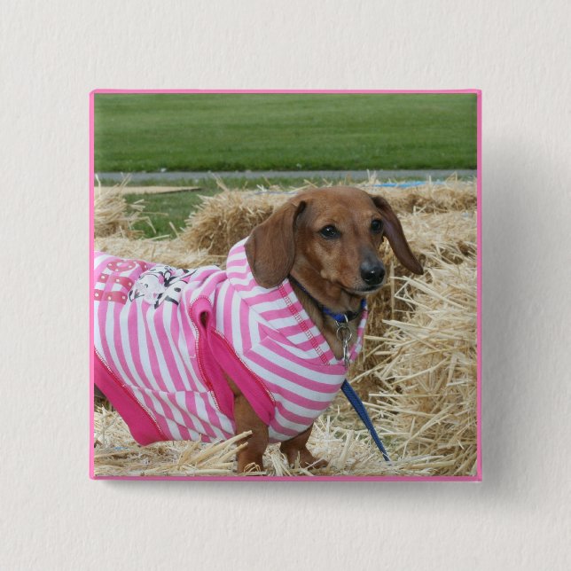 Dachshund dog 2 inch square button (Front)