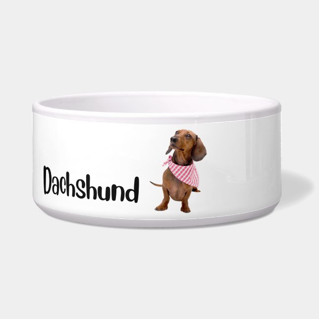 Dachshund - dog bowl by breed  (Front)