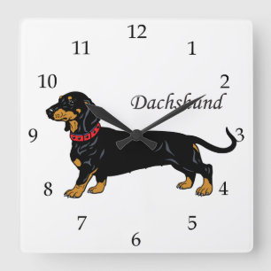 Dachshund Dog Breed Square Wall Clock