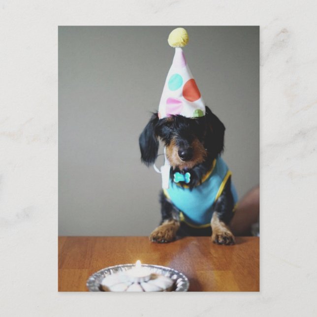 Dachshund Dog Carte d'anniversaire (Devant)