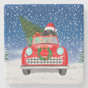 Dachshund Dog Driving Car In Snow Christmas Stone Coaster