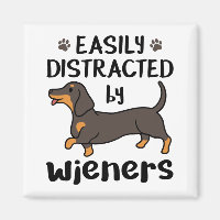 Dachshund Dog Easily Distracted by Wieners