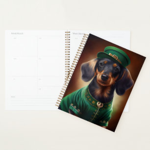 Dachshund Dog en tenue de la Saint Patrick