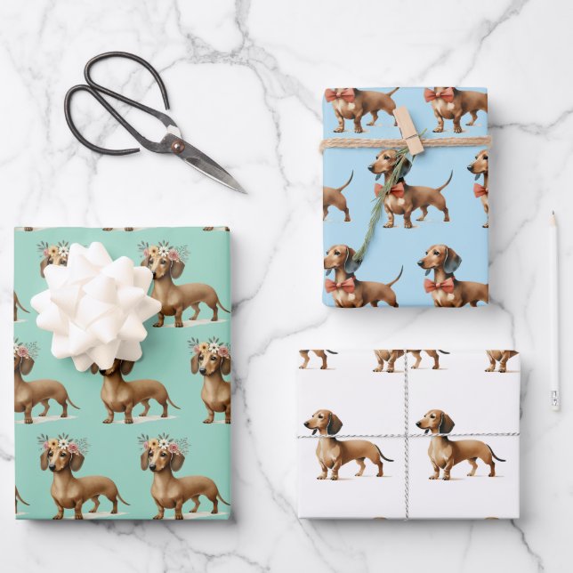 dachshund dog lover birthday celebration  wrapping paper sheet (Front)