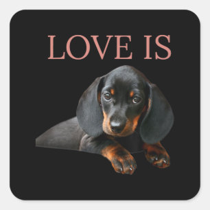 Dachshund Dog Mom Dad Men Women Kids Gift Doxie Square Sticker