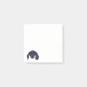 Dachshund dog Portrait Post-it Notes