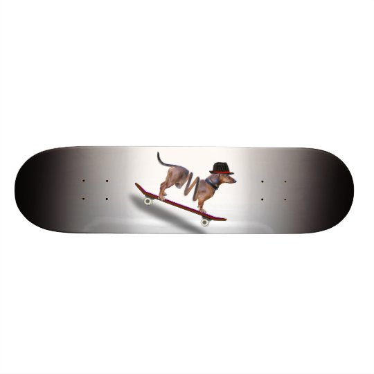 Dachshund Dog Skateboarder Skateboards