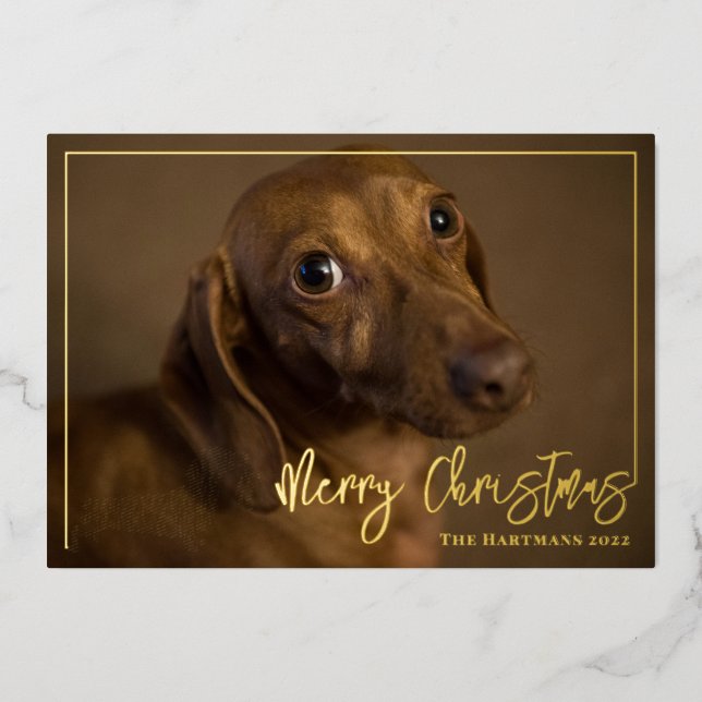 Dachshund Dog with Stocking Merry Christmas Photo Foil Holiday Card (Front)