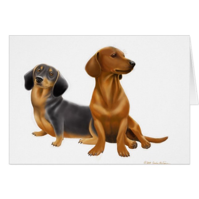 Dachshund Dogs Card (Front Horizontal)