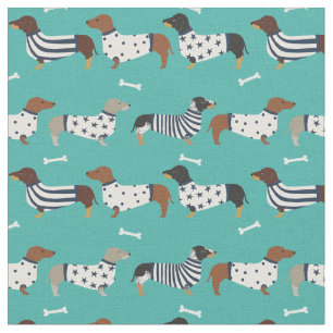 Dachshund dogs in sweaters turquoise fabric