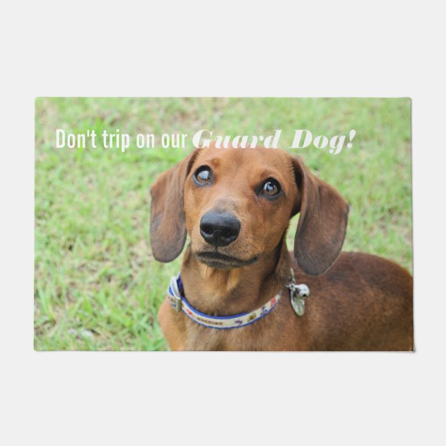 Dachshund Doormat (Front)