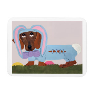 Dachshund Easter Bunny Card Magnet