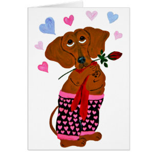Dachshund en short rose à cœur