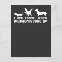 Dachshund Evolutions