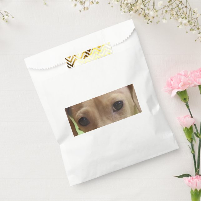 Dachshund Eyes Cream Favour Bag (Sealed)