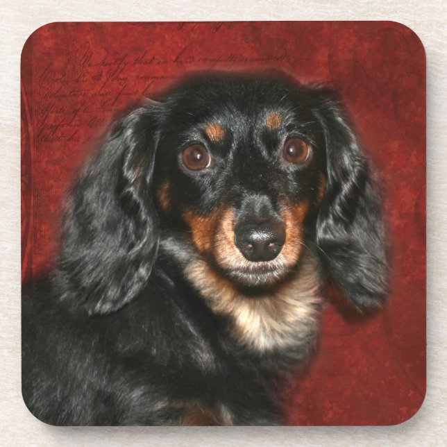 Dachshund face coaster (Front)