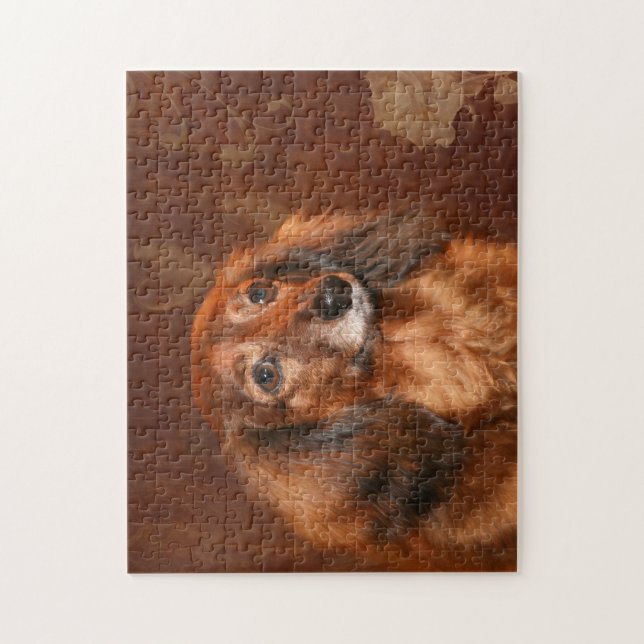 Dachshund face jigsaw puzzle (Vertical)