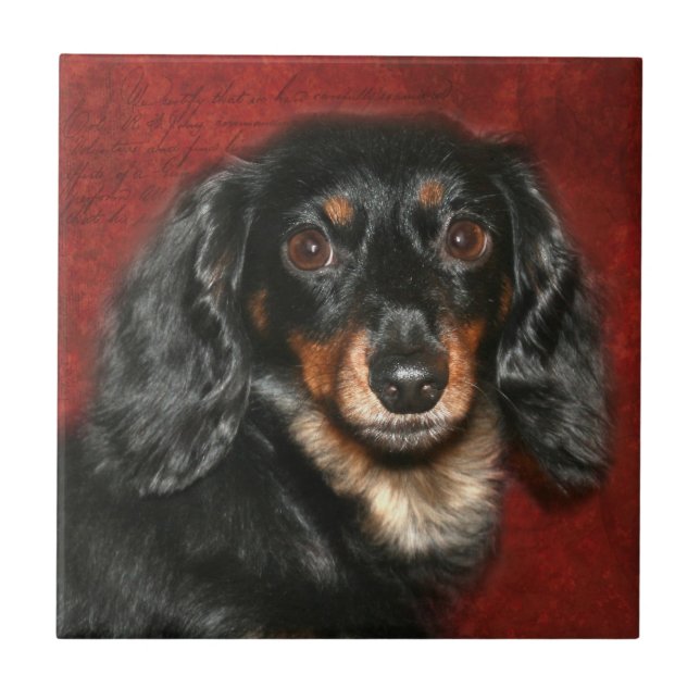 Dachshund face tile (Front)