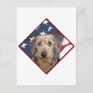 Dachshund Flag 2 Postcard