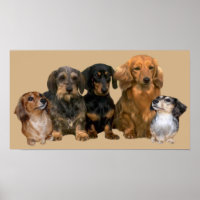 Dachshund Gang Print