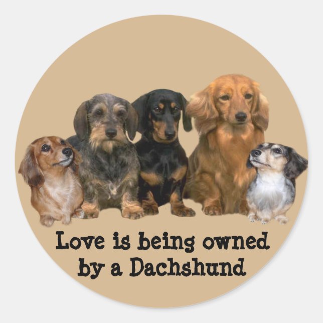 Dachshund Gang Sticker (Front)