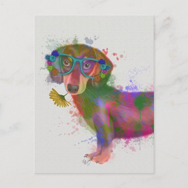 Dachshund & Glasses Rainbow Splash Postcard (Front)