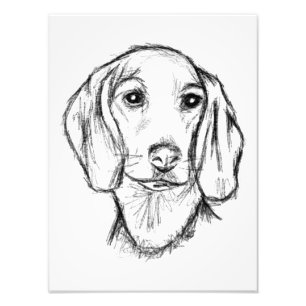 dachshund hand drawn sketch black white puppy dog photo print