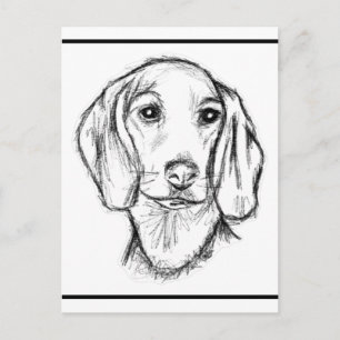 dachshund hand drawn sketch black white puppy dog postcard