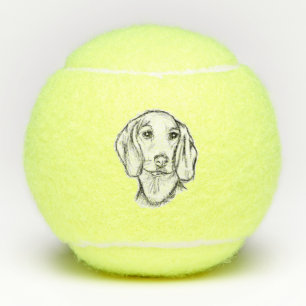 dachshund hand drawn sketch black white puppy dog  tennis balls