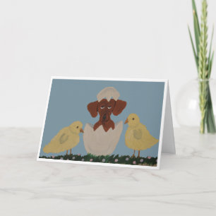 Dachshund hatching out of egg with chicks card