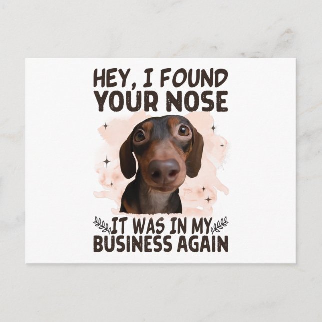 Dachshund Hey I Found Your Nose It Was My Business Postcard (Front)