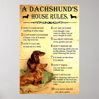 Dachshund House Rules Poster Gift for Men Women, O