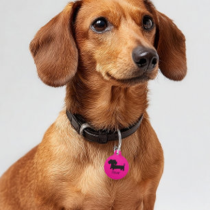 Dachshund ID Dog Tags Personalized Pink