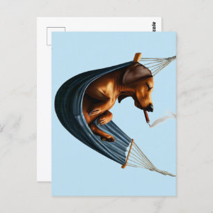 Dachshund in Hammock Postcard