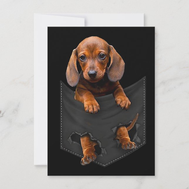 Dachshund In My Pocket Dachshund Weiner Dog Gift Invitation (Front)