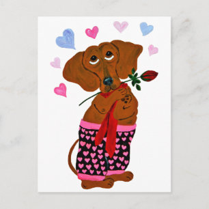 Dachshund In Pink Heart Shorts Postcard