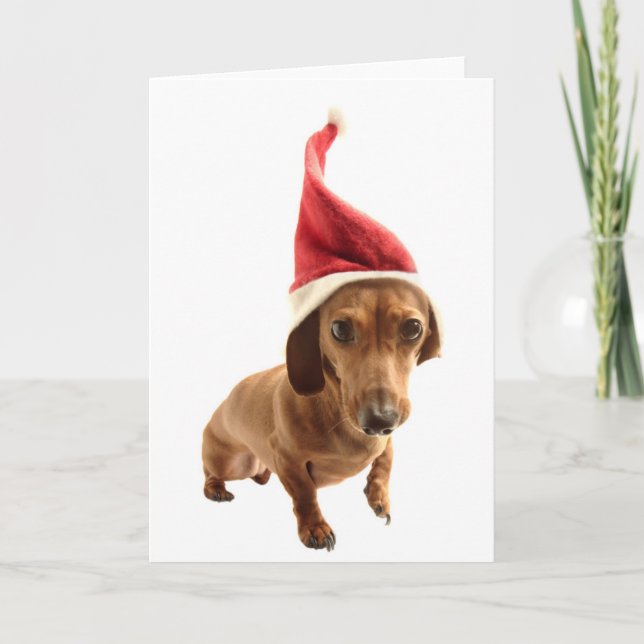 Dachshund in Santa hat Holiday Card (Front)