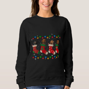 Dachshund In Socks Christmas Light Dog Lover Sweatshirt