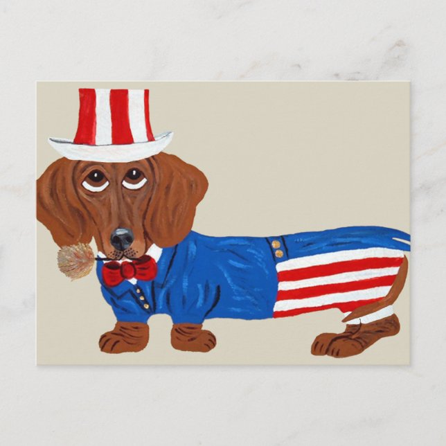 Dachshund In Uncle Sam Suit Postcard (Front)