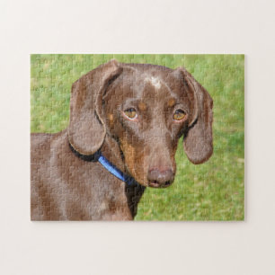 Dachshund Jigsaw Puzzle