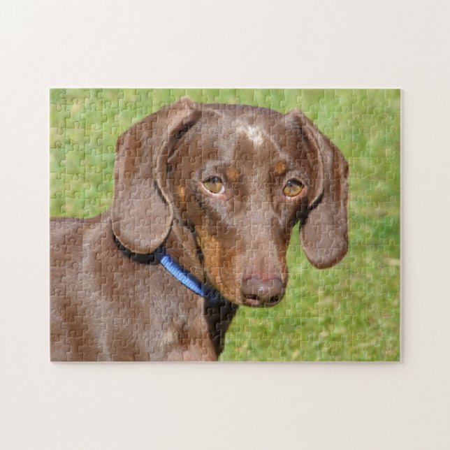 Dachshund Jigsaw Puzzle (Horizontal)