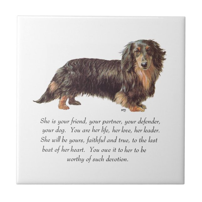 Dachshund Keepsake - Female Tile (Front)