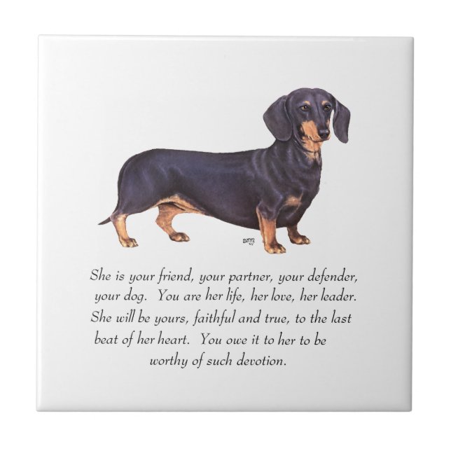 Dachshund Keepsake - Female Tile (Front)