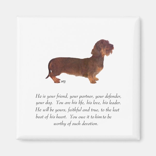 Dachshund Keepsake - Male Magnet (Front)