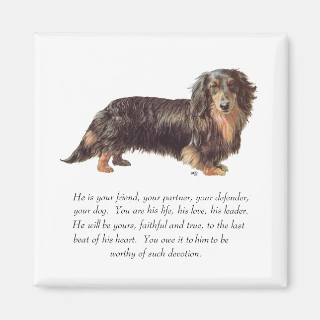 Dachshund Keepsake - Male Magnet (Front)